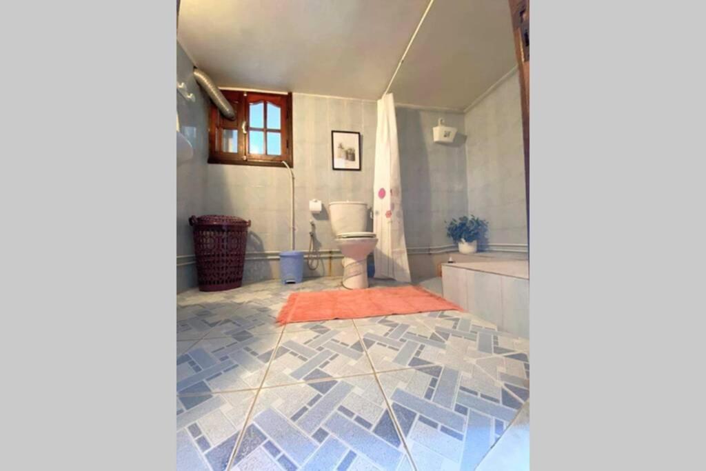 Apartment Cosy 2 Pieces Charmant Et Spacieux