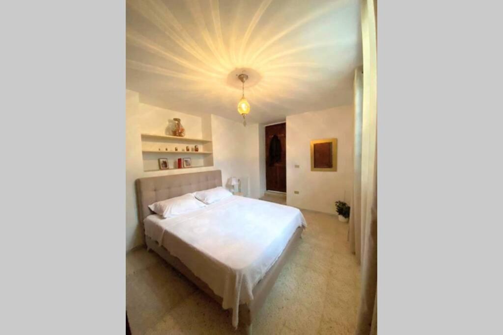 Appartement Cosy 2 Pièces Charmant Et Spacieux